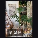 꽃짙은