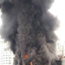 불은초교 이미지