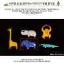 제리백 - 동대문구 회기로 85 | 브롬톤 자전거 야간 반사판으로 제리백 리플렉터 사용 후기