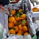 훈이청과 이미지