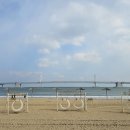 스타벅스 광안비치점 이미지