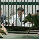 김대진동물병원 이미지