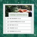 수수네숲