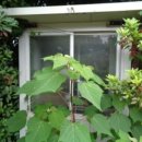 법환동-6 이미지