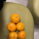 시청역(2)(지하1층) 화장실 | [수원시청역호텔/인계동호텔] ‘오르세비지니스호텔’ 방문 후기