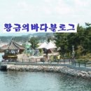 (주)황금바다 네이버블로그