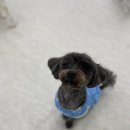 아이사랑유치원 이미지