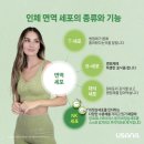 셀프메디케이션