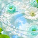 (광고 없음) 아름답고 잔잔한 음악 🍀 긴장을 풀고 내면의 평온함을 되찾으세요 이미지