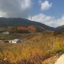 춘양시외버스터미널 이미지