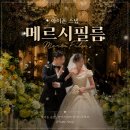 웨딩 아이폰 스냅 메르시필름 merci film 숨고 예약 내돈내산 강력 추천 후기 결과물 공유