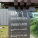 소나무숲아래 | 5월의 햇살 아래, 소나무 숲길 힐링 산책 : 화성 융건릉 가족 나들이 후기