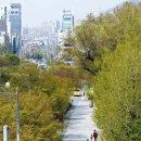 능동로 이미지