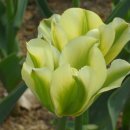 오메가약국 이미지