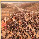 기지시줄다리기박물관 이미지