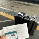 모야짐 | [🇯🇵일본 도쿄🗼] Day 1 나리타공항에서 디즈니씨로, 늦은 입장이었지만 알차게 즐긴 후기