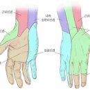 하버드재활의학과의원 이미지