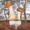 내성천 생활체육공원 이미지