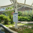 꼬꼬체험장 이미지