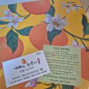 진두루농장 | 아빠는농부다 승환이네 농장 제주 천혜향