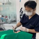 이튼튼치과의원 이미지