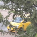 예손음악학원 이미지