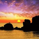 별바위목장 이미지