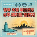 주.무브앤핏 | 무브앤핏 양주 옥정 크로스핏 추천 - 6주 챌린지 이야기