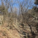 벽운동천 | 수락산역에서 수락산 주봉 정상 등산 후기 (벽운동계곡코스, 소요시간)