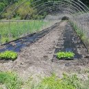 여주-0026 이미지