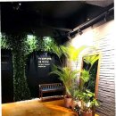 몸사랑 힐링샵 이미지