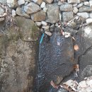 유림-1104 이미지