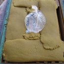 소망2농장 이미지