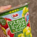 우만1동 554-10 ~ 우만1동 549-8 | [일본] 오사카 3박 4일 일정 여행 코스 4일 차 기록 여러가지 정보