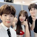 핑크마인드