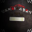 성남위례세차장실내크리닝 네이버블로그