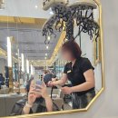 잠원미용실 추천! 박승철 강남뉴코아점에서 헤어클리닉 받은 후기 다온디자이너 아윤채클리닉