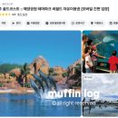 호주 골드코스트 씨월드 후기, 돌고래쇼 앱 티켓 등록법 어트랙션 할인 정보