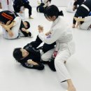 뫼비우스 주짓수 북수원점 이미지