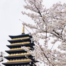 더케이호텔경주 이미지