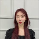 인더에이블 이미지