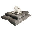 허니댕댕 이미지