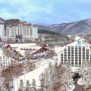 드레곤밸리 호텔 이미지