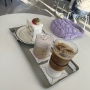 퍼플 스왈로우 이미지