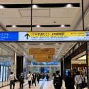 현청과 | 시즈오카 여행 가볼만한곳 현청 무료 후지산 전망대