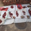 롯데이용소 이미지