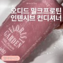 오밀크우유강화점 | 오디드 밀크프로틴 인텐시브 컨디셔너 사용후기 손상모발케어 고민이라면