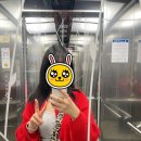대구 붙임머리 ,,미미샵 붙임머리 내돈내산 솔직후기