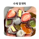 창원생과방 | 고급스러운 국내산 창원생과방 망개떡 선물 세트