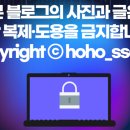 세계로정육할인마트